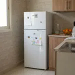 ⁦دورا سات ثلاجة ثلج بابين 4.7 قدم - 123 لتر ابيض - DS160DF⁩ - الصورة ⁦2⁩