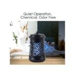 ⁦صائد حشرات 1*20 اسود 301109005⁩ - الصورة ⁦2⁩